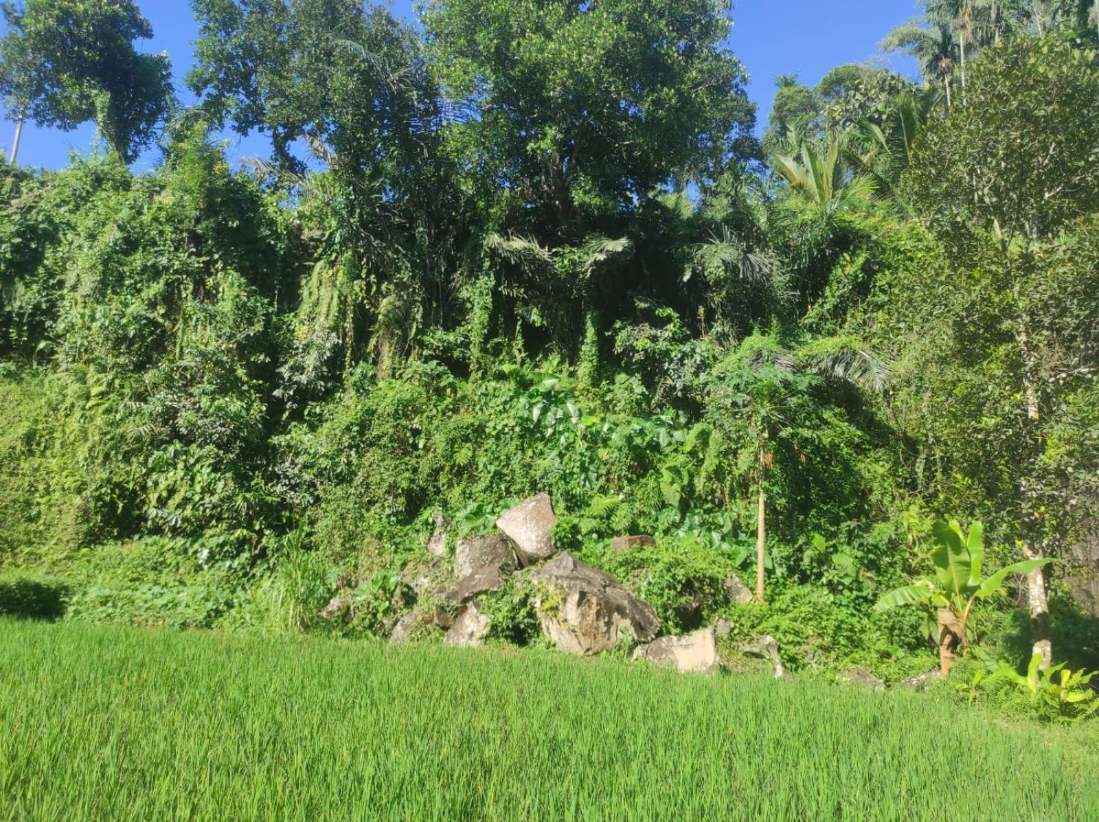 Nan Bungalows Tetebatu Extérieur photo